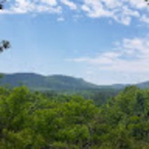 Meet your Posher, Mr